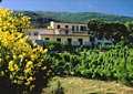 Il nostro hotel a Sant'Andrea: Hotel Bellavista - Isola d'Elba