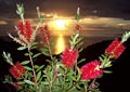 Un tramonto a Sant'Andrea: Hotel Bellavista - Isola d'Elba