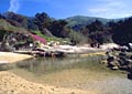La spiaggia del Cotoncello a Sant'Andrea: Hotel Bellavista - Isola d'Elba